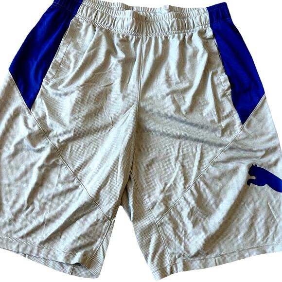 Puma Men's L Shorts Big CAT Logo Drycell Logo Drawstring Gray Blue Gym Stretch - Picture 1 of 10